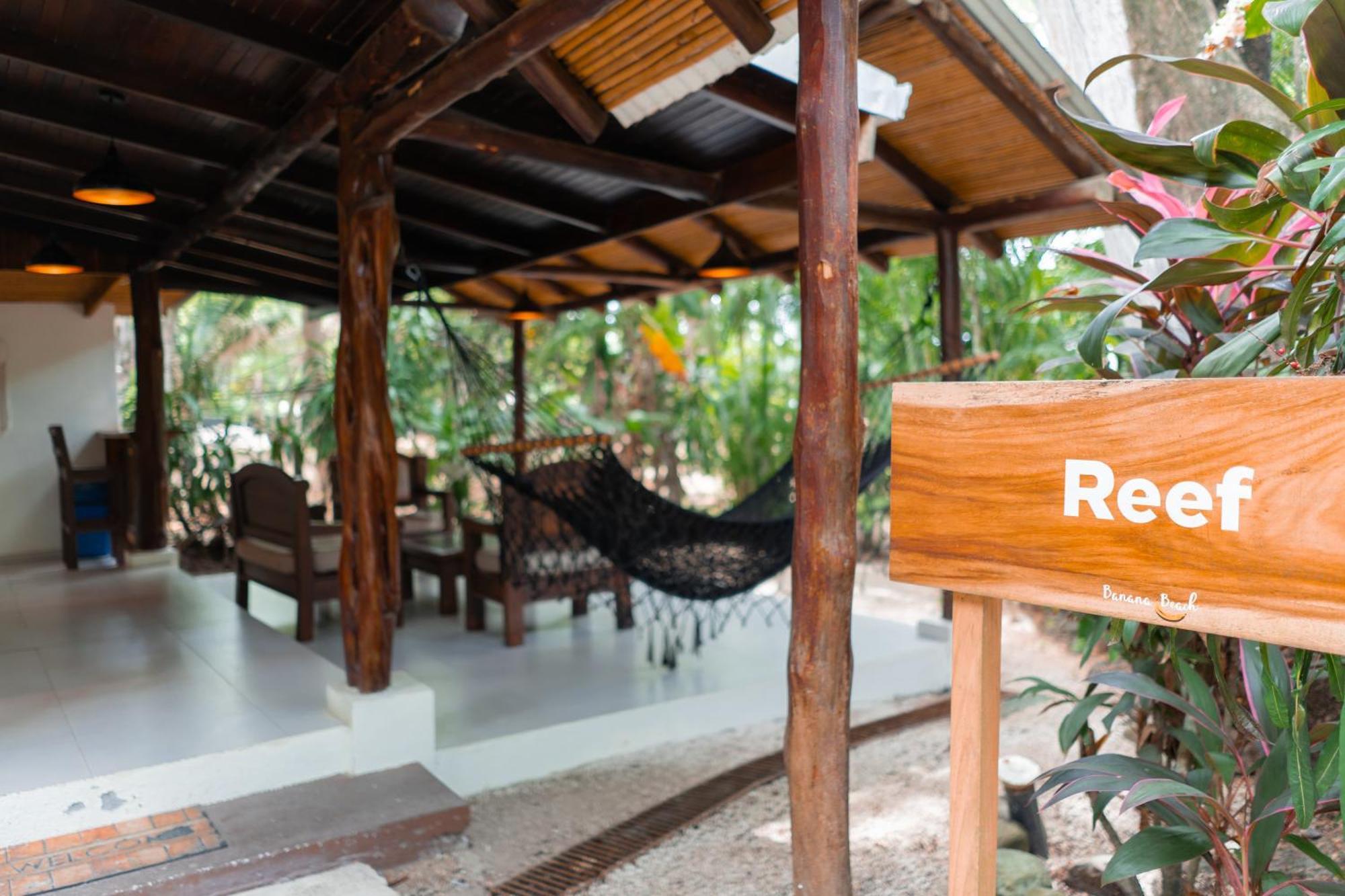 Banana Beach Bungalows Playa Santa Teresa  Eksteriør billede