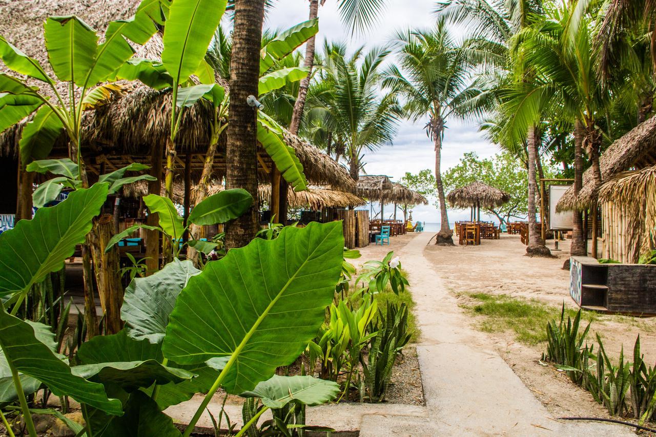 Banana Beach Bungalows Playa Santa Teresa  Eksteriør billede