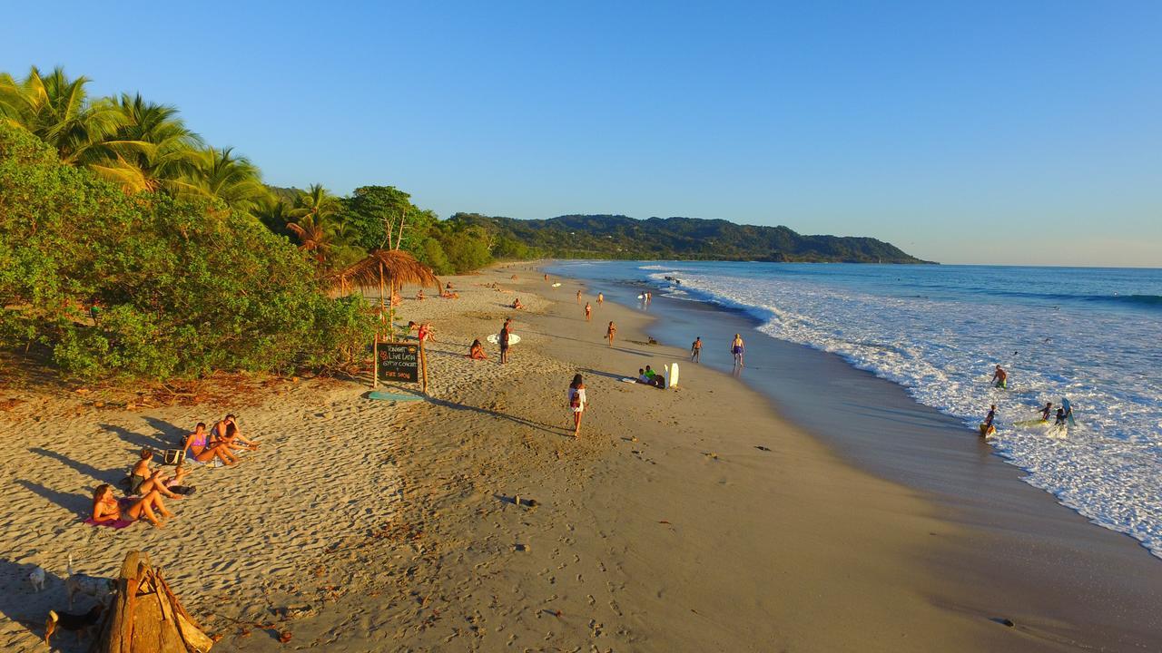 Banana Beach Bungalows Playa Santa Teresa  Eksteriør billede